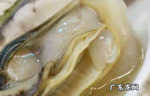 生蚝肚子里的是屎,生蚝咬开里面黑色的是屎