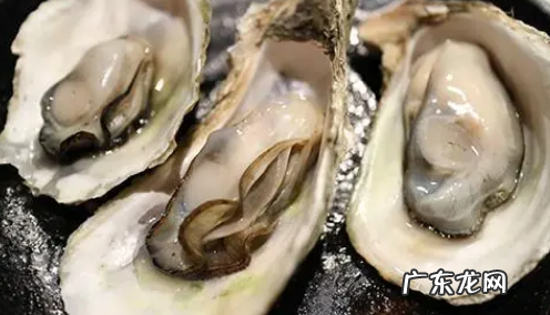 生蚝肚子里的是屎,生蚝咬开里面黑色的是屎