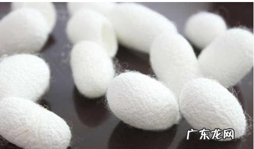 100%桑蚕丝的洗涤方法,"00%桑蚕丝的围巾能怎么洗 能水洗 "