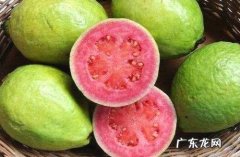 番石榴是芭乐,番石榴是芭乐果