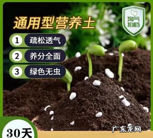 北方夏季种菜怎么样防止土壤结块,阳台种菜土壤板结怎么办