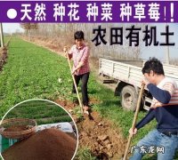北方夏季种菜怎么样防止土壤结块,阳台种菜土壤板结怎么办