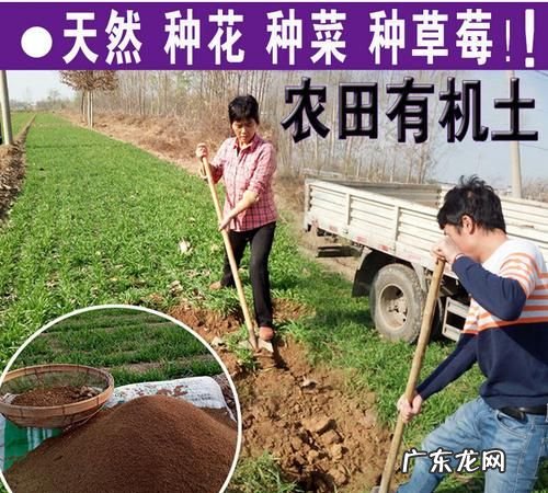 北方夏季种菜怎么样防止土壤结块,阳台种菜土壤板结怎么办