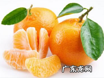 橘子皮去味,桔子皮可以去异味