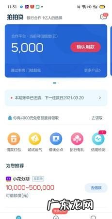 类似拍拍贷的借款平台有哪些,可以借款的平台有哪些