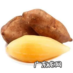 雪莲果是凉性的,雪莲果是凉性的还是热性的