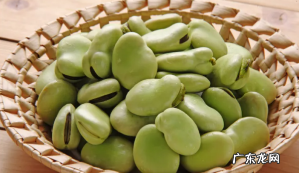 蚕豆热量高不高,蚕豆热量高 吃了会胖