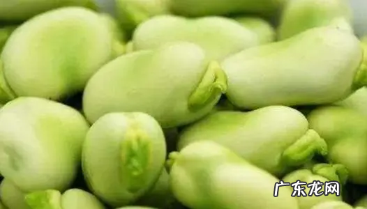 蚕豆热量高不高,蚕豆热量高 吃了会胖