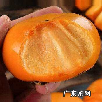 柿子怎么看熟没熟,如何辨别柿子熟了