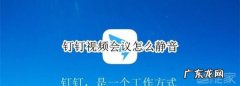 钉钉怎么静音 钉钉简介,电脑版钉钉静音快捷键是什么意思