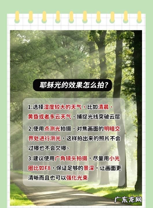 相机拍照怎么拍,如何使用手机相机拍照更好看