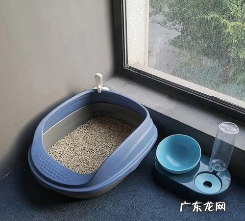 豆腐猫砂堵厕所怎么通,猫砂堵住下水道了怎么办