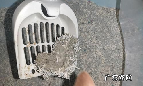 豆腐猫砂堵厕所怎么通,猫砂堵住下水道了怎么办