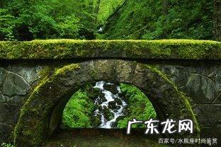 苔藓可食用吗,苔藓可食用