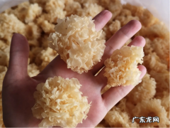 干银耳可以保存多久,银耳可以放多久过期