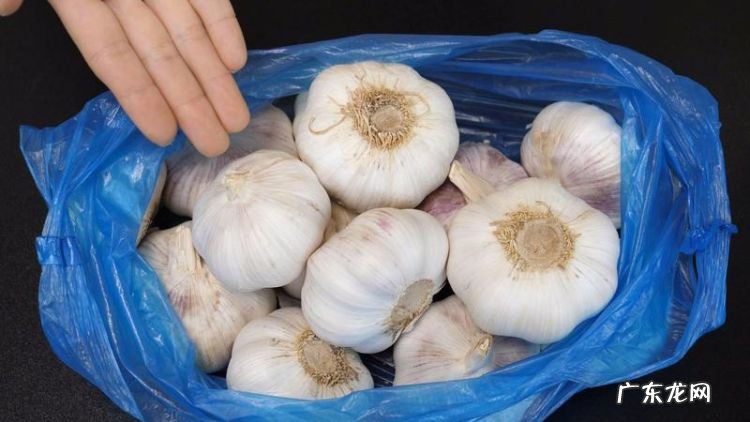 新鲜蒜如何保存,新鲜蒜怎么保存才能保持新鲜