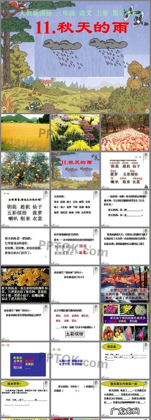 关于秋天雨的句子,写秋天的雨的句子优美段落