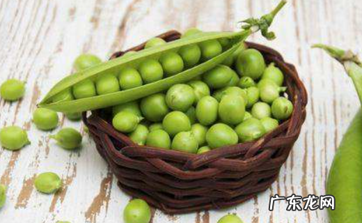 豌豆可以生吃,豌豆没熟会中毒 知乎