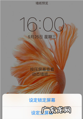 苹果live壁纸怎么不动,我的苹果7plus为什么特别卡