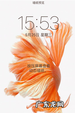 苹果live壁纸怎么不动,我的苹果7plus为什么特别卡