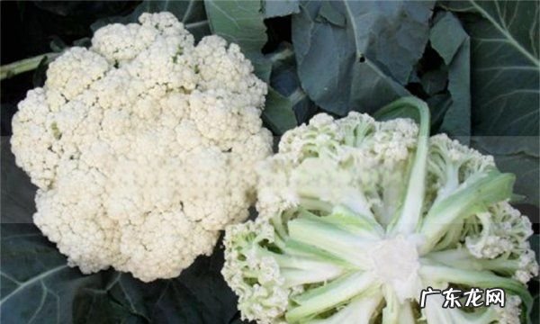 什么是有机菜花,有机花菜的功效与作用禁忌