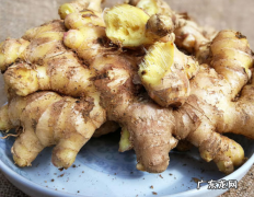 白姜和黄姜的功效,黄姜什么功效与作用