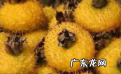 刺梨是凉性还是热性,刺梨的禁忌人群年纪