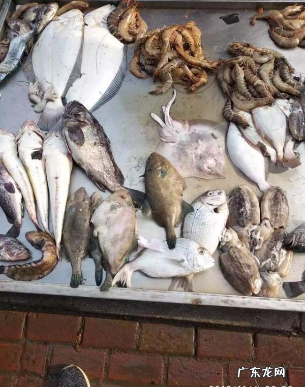 扒皮鱼有刺没有,大扒皮鱼怎么做好吃家常做法