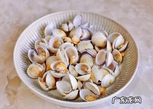 蛤蜊是花甲吗,蛤蜊是花蛤