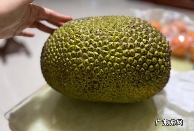 菠萝蜜应怎么样保存,菠萝蜜怎么保存时间最长