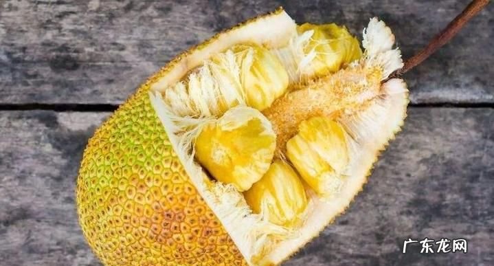 菠萝蜜应怎么样保存,菠萝蜜怎么保存时间最长