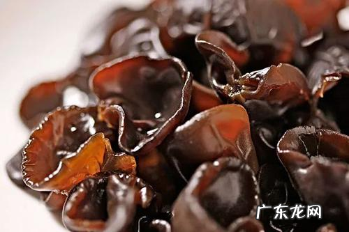 木耳被泡发后怎么储存,木耳泡发后如何处理
