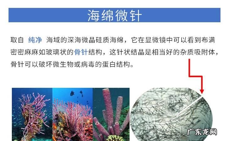 海绵的成分是什么东西,有人知道海绵的化学名称还有海绵的合成方法