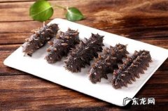 海茄子有营养,海参与海茄子有什么区别