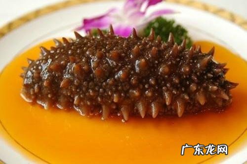 海茄子有营养,海参与海茄子有什么区别