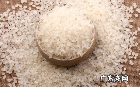 米类都有什么米,米的种类都有哪些