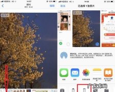 苹果手机iphone 怎么发实况照片,苹果实况怎么发给别人也是实况
