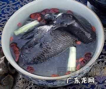 乌鸡汤是发物,乌鸡汤是发物还是温补