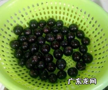 榨葡萄汁要去皮,葡萄榨汁要去皮去籽