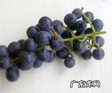 榨葡萄汁要去皮,葡萄榨汁要去皮去籽