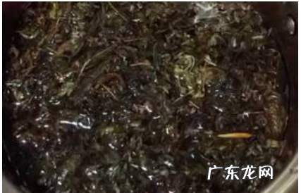 茵陈熬水要煮多久,喝茵陈水会引起肝功能异常
