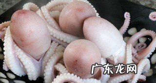 八爪鱿鱼里面的大米是什么,鱿鱼里有一堆线是什么东西