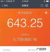 支付宝收益捐是什么意思,支付宝的收益加有什么用
