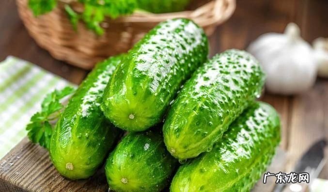 黄瓜为什么不能放冰箱,黄瓜能放冰箱冷藏几天