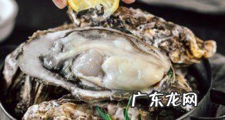 生蚝放车的后备箱能活多久,生蚝可以保存多久新鲜