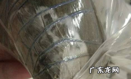粽子发霉还能吃,粽子发霉还能吃