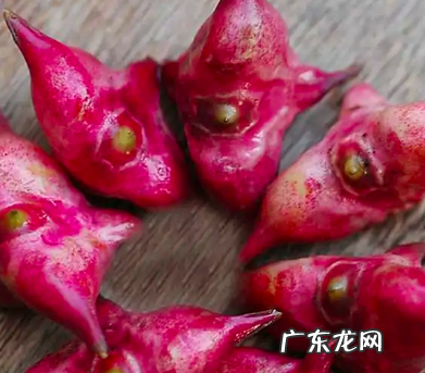 菱角能生吃,孕妇可以吃生菱角
