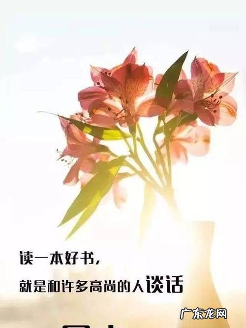 早安给女生暖心句子,给女生说早安的暖心话短句