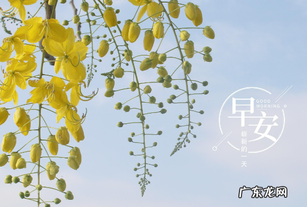 早安给女生暖心句子,给女生说早安的暖心话短句