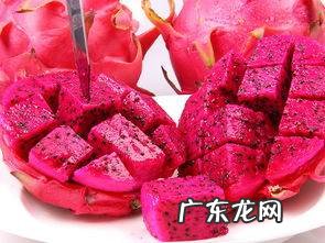 火龙果几天会坏,火龙果放冰箱能放多久不会坏
